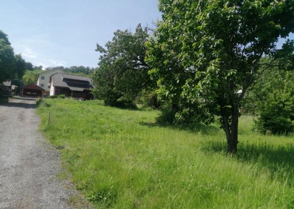 Exkluzívny predaj pozemku vo vyhľadávanej lokalite, Podhájska