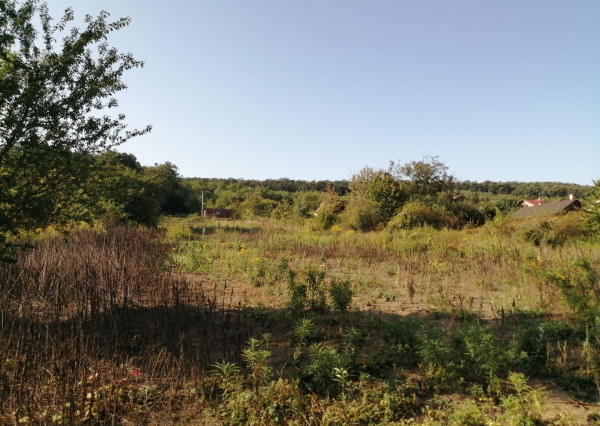 Exkluzívny predaj pozemku v Podhájskej iba 400 m od kúpaliska.