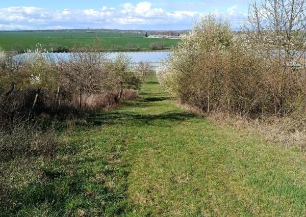 Na predaj 24 árový pozemok s chatou.