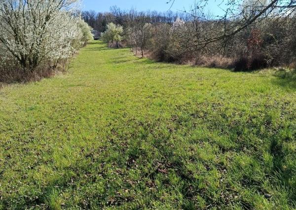 Na predaj 24 árový pozemok s chatou.