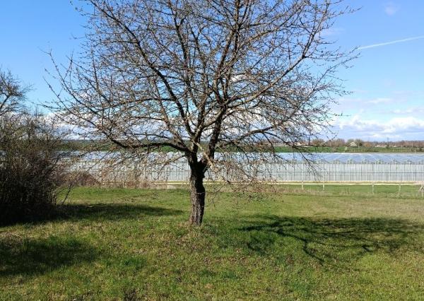 Na predaj 24 árový pozemok s chatou.