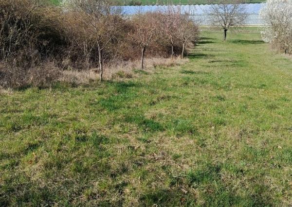 Na predaj 24 árový pozemok s chatou.