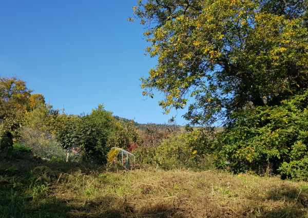 Predám stavebný pozemok na RD v Banskej Štiavnici.