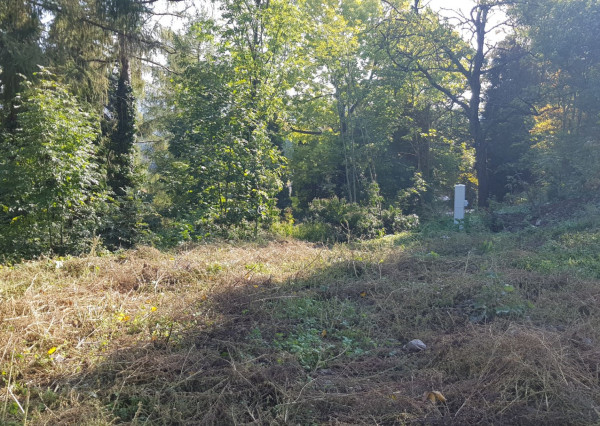 Predám stavebný pozemok na RD v Banskej Štiavnici.