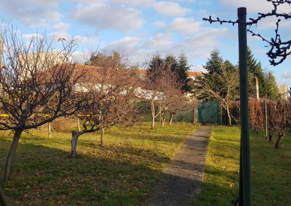 Predám zariadený RD Nitra - Zobor možný k nasťahovaniu.