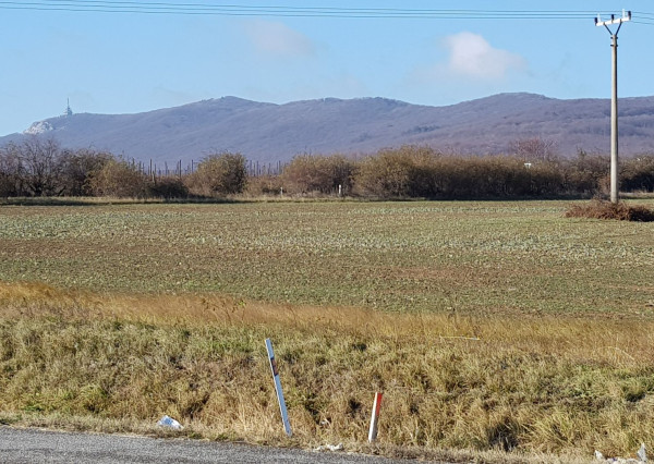 Predám pozemok na Zlatomoraveckej ceste pri Nitre, 6492m2.