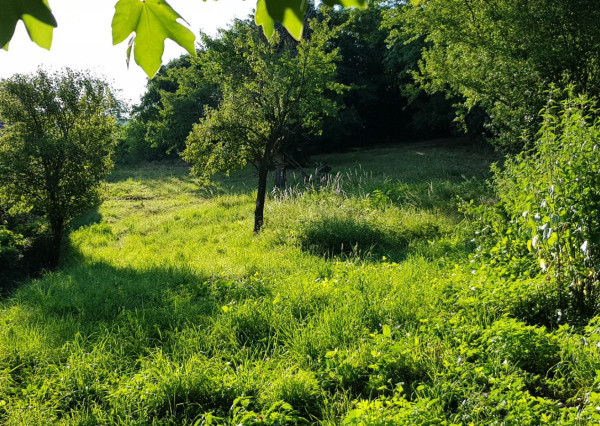 Predám dva stavebné pozemky pod lesom Nitra - Zobor, 1635m2.