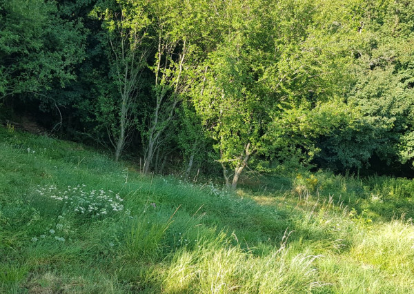 Predám dva stavebné pozemky pod lesom Nitra - Zobor, 1635m2.