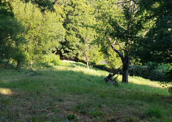 Predám dva stavebné pozemky pod lesom Nitra - Zobor, 1635m2.