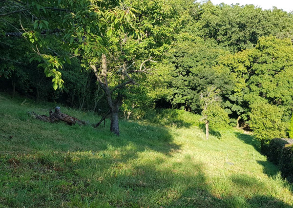 Predám dva stavebné pozemky pod lesom Nitra - Zobor, 1635m2.
