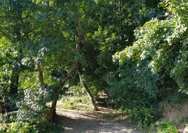 Predám dva stavebné pozemky pod lesom Nitra - Zobor, 1635m2.