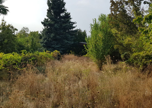 Predám stavebné pozemky Nitra - Zobor -Šindolka.