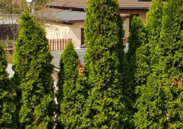 Predám RD Nitra - Janíkovce, komplet zariadený 280000.-