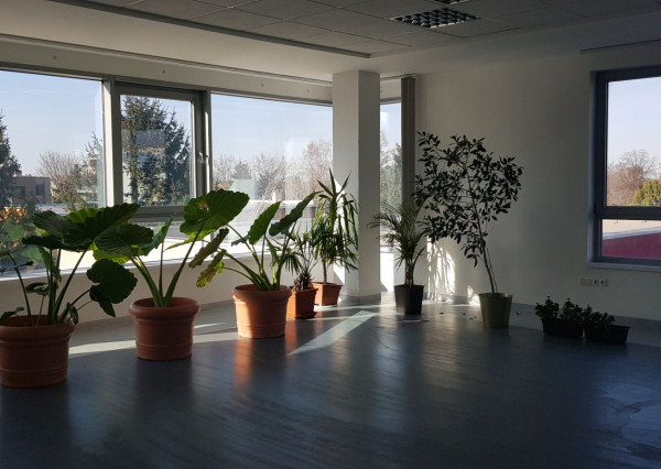 Prenajmem 60m2 kancelárske priestory pri R1 v Nitre.