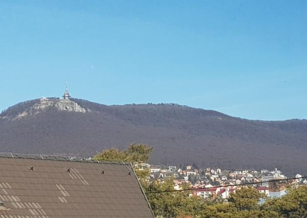 Prenajmem 60m2 kancelárske priestory pri R1 v Nitre.