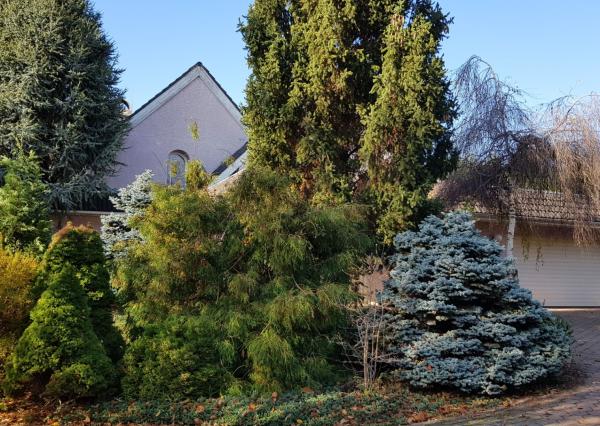 Predám RD pre veľkú rodinu alebo firmu v Nitre - Čermáň.