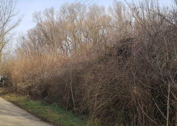 Predám stavebný pozemok Podhorany Sokolníky 5867m2.