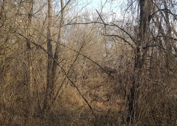 Predám stavebný pozemok Podhorany Sokolníky 5867m2.