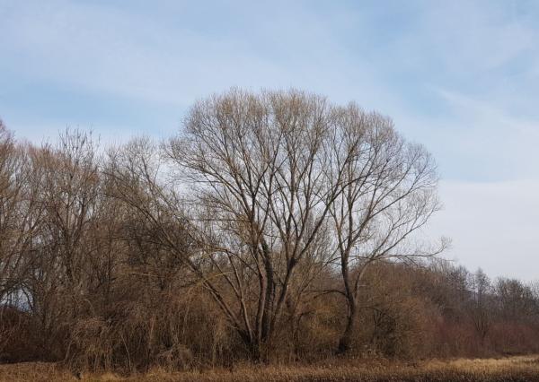 Predám stavebný pozemok Podhorany Sokolníky 5867m2.