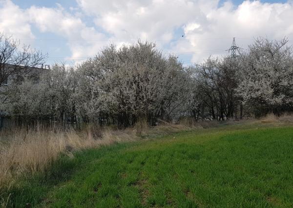 Predám pozemok v Hlohovci 858m2.