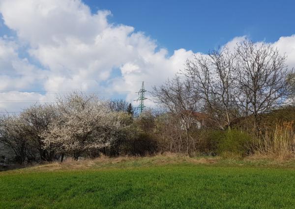 Predám pozemok v Hlohovci 858m2.