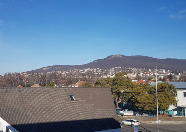 Prenajmem v Nitre na Levickej ulici 3 kancelárske priestory.