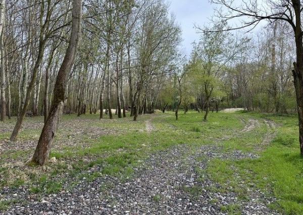 Na prenájom pekný pozemok vhodný pre voľno časové aktivity.