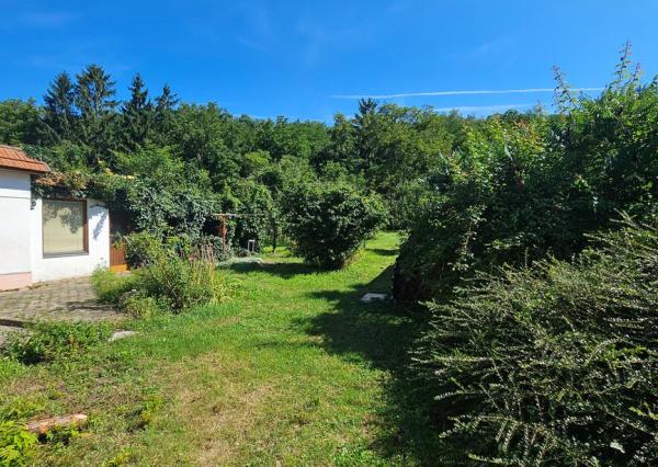 Na predaj rodinný dom v obci Ratnovce s krásnym  pozemkom 1202m2