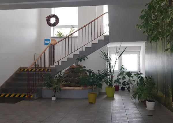 Prenajmem komerčné priestory v Nitre 240m2.