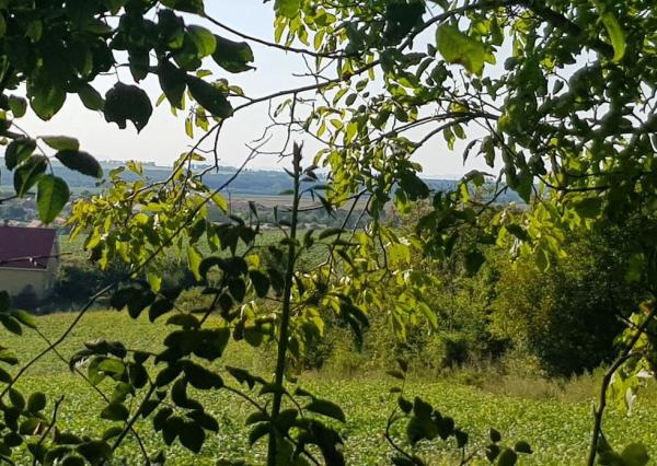 Predám pozemok Nitra - Lehota 2694m2.