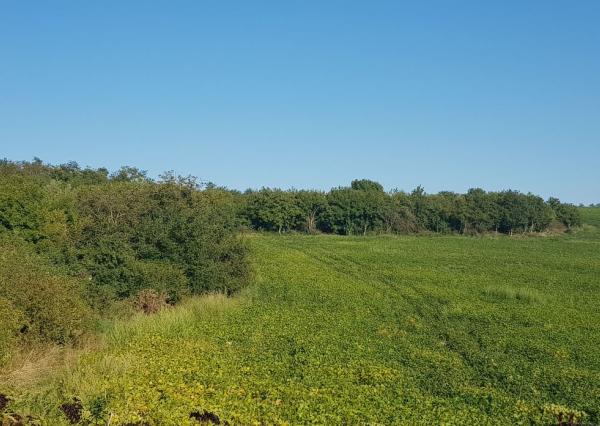 Predám pozemok Nitra - Lehota 2694m2.