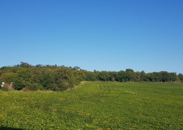 Predám pozemok Nitra - Lehota 2694m2.