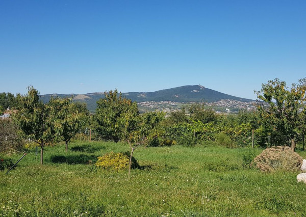 Predám pozemok pre RD Nitra - Mlynárce 575m2.