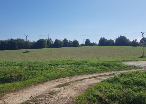 Predám pozemok v Nitre - Kynek pri Metre.