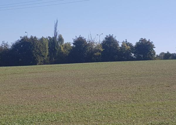 Predám pozemok v Nitre - Kynek pri Metre.