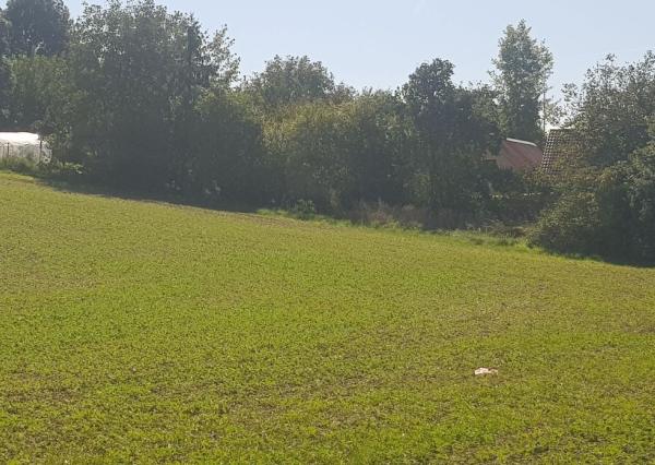 Predám pozemok v Nitre - Kynek pri Metre.