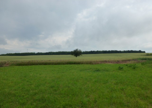 Vidiecky dom s veľkým pozemkom v peknom prostredí.