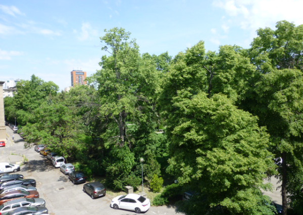 Útulný 3i byt na prenájom. Vyhľadávaná lokalita.