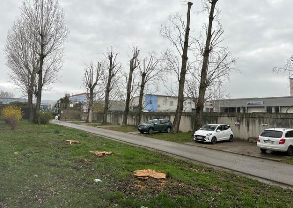 Administratívny celok na prenájom - 475 m2, Bojnická ul.