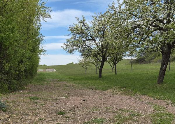 Predám stavebný pozemok Jedľové Kostoľany + stavebné povolenie.