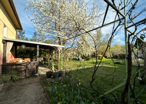 Podpivničený 3i dom s veľkým pozemkom vo Vajnoroch