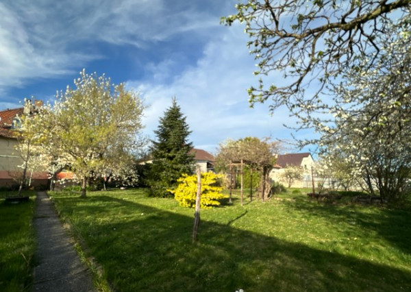 Podpivničený 3i dom s veľkým pozemkom vo Vajnoroch