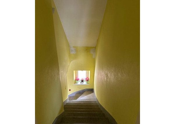 Podpivničený 3i dom s veľkým pozemkom vo Vajnoroch