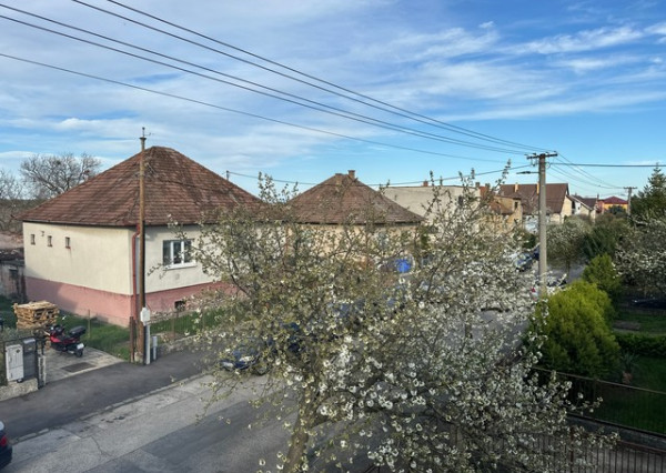 Podpivničený 3i dom s veľkým pozemkom vo Vajnoroch