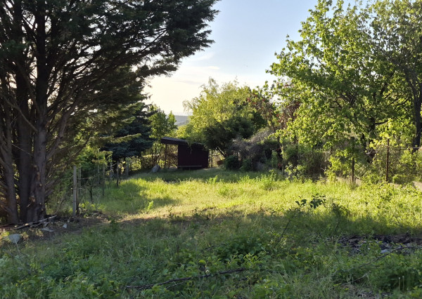 Predám 3 pozemky Nitra - Zobor -Šindolka. 600, 650, 650.