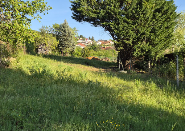 Predám 3 pozemky Nitra - Zobor -Šindolka. 600, 650, 650.
