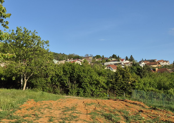Predám 3 pozemky Nitra - Zobor -Šindolka. 600, 650, 650.