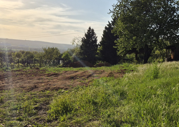 Predám 3 pozemky Nitra - Zobor -Šindolka. 600, 650, 650.