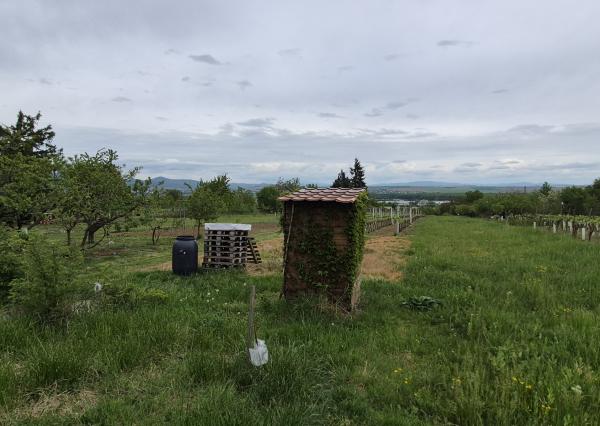 Predám chatu s vínnou pivnicou a vinohradom Dolné Krškany - Bita.