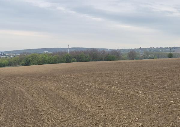 Predám pozemok - Horné Krškany, Nitra 11583m2.